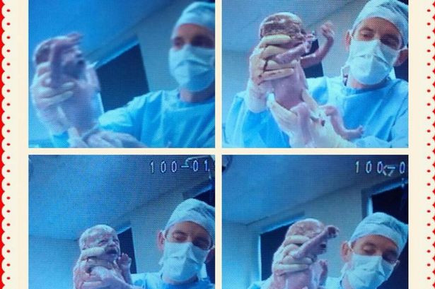 Un tata este fericit sa-si vada pentru prima data cvadrupletii, dupa ce sotia lui a pierdut 4 sarcini. "E un miracol"