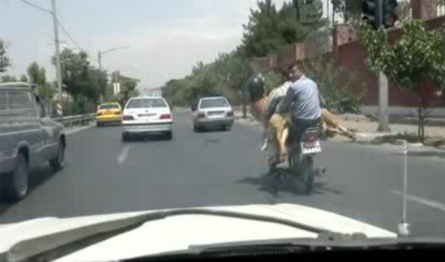 Moment amuzant pe o strada din Iran. Doi barbati au luat niste pasageri inediti pe motoreta