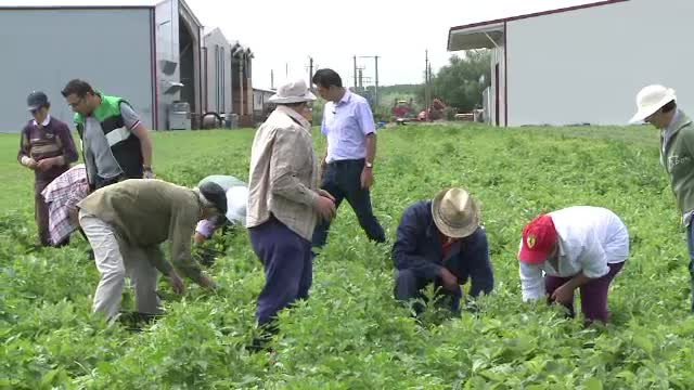 Un tractorist harnic poate castiga dublu fata de un profesor debutant. Ce nu au inteles inca tinerii care fug de agricultura