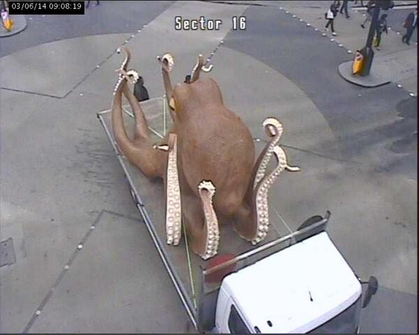 O caracatita gigant a blocat traficul din centrul Londrei. Cum s-a ajuns in aceasta situatie