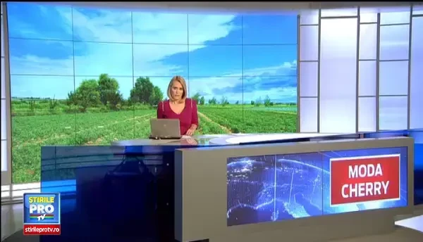 Rosiile cherry incep sa impinga din farfurie tomatele traditionale. Avantajele care i-au incantat pe agricultori