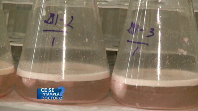 Accidentele casnice care pot avea consecinte grave in cazul copiilor. Ce trebuie sa faceti in cazuri de intoxicatii