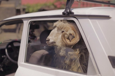 Comedia "Usturoi" va fi proiectata in premiera la Casa TIFF