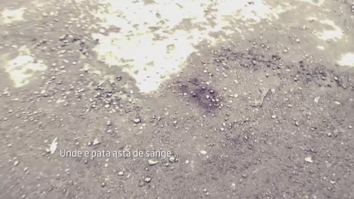 Caz socant la Iasi. Un italian de 52 de ani, disperat ca l-a parasit iubita romanca, mai tanara cu 20 de ani, s-a impuscat