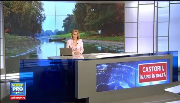 Castorii se intorc dupa 200 de ani, dar cu scandal. Autoritatile spun ca strica barajele si