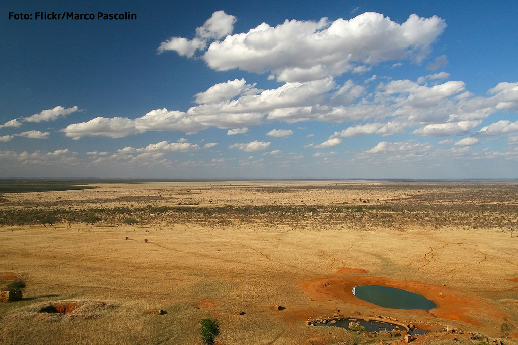 Ce a gasit un spaniol care isi cauta bunicul prin Africa. "Ucisese deja doi lei"