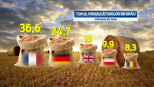 Efectele de 2 miliarde de dolari ale ploilor abundente. Romania se pregateste de cea mai buna recolta de grau de dupa 1989