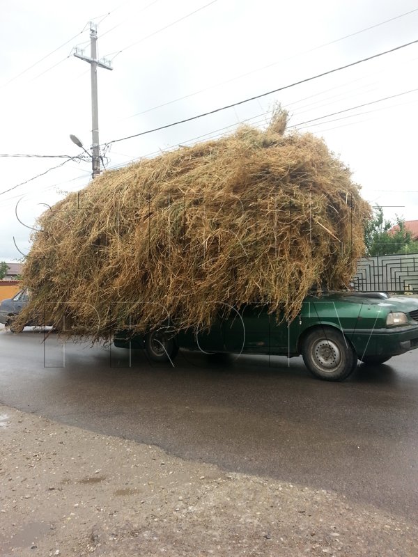Romania