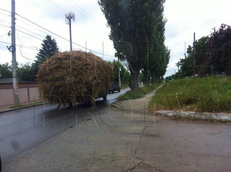 Romania