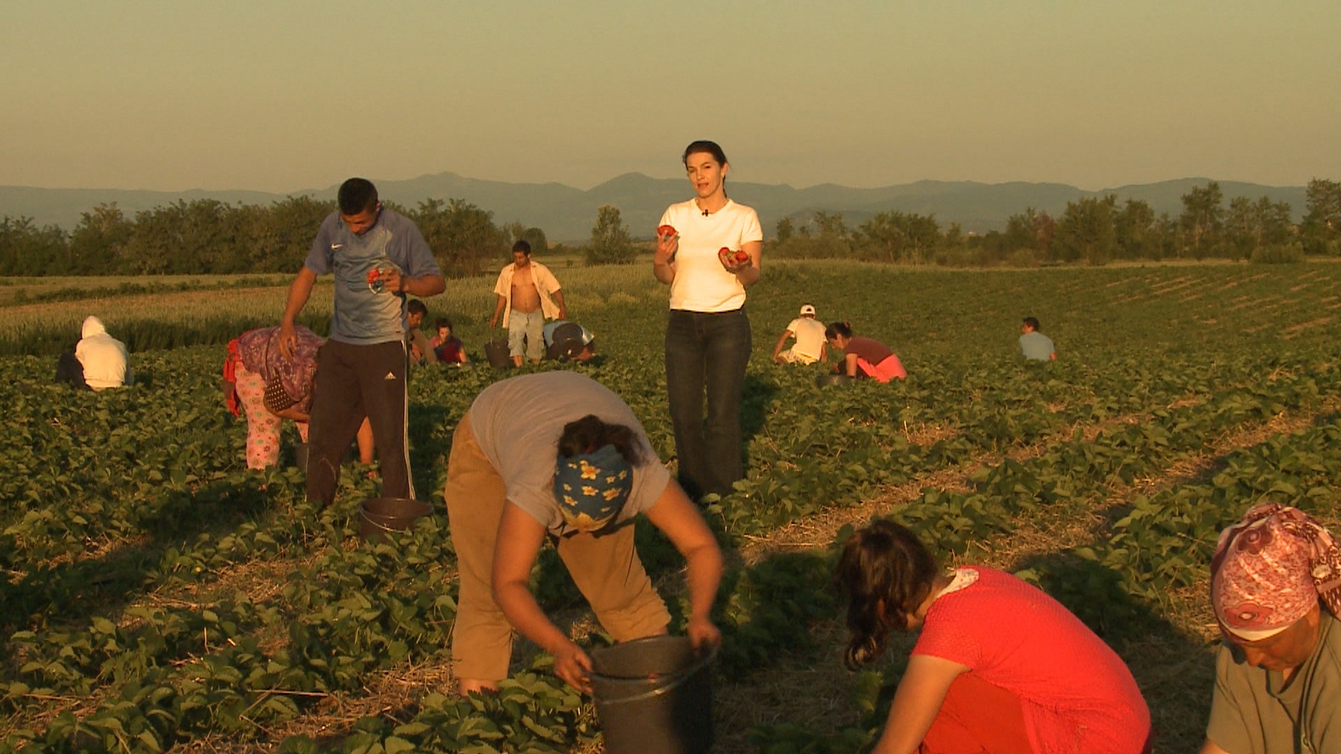 Duminica, la "Romania, te iubesc!": de ce fructele romanesti nu mai au gustul de demult si au ajuns bibelouri fara aroma