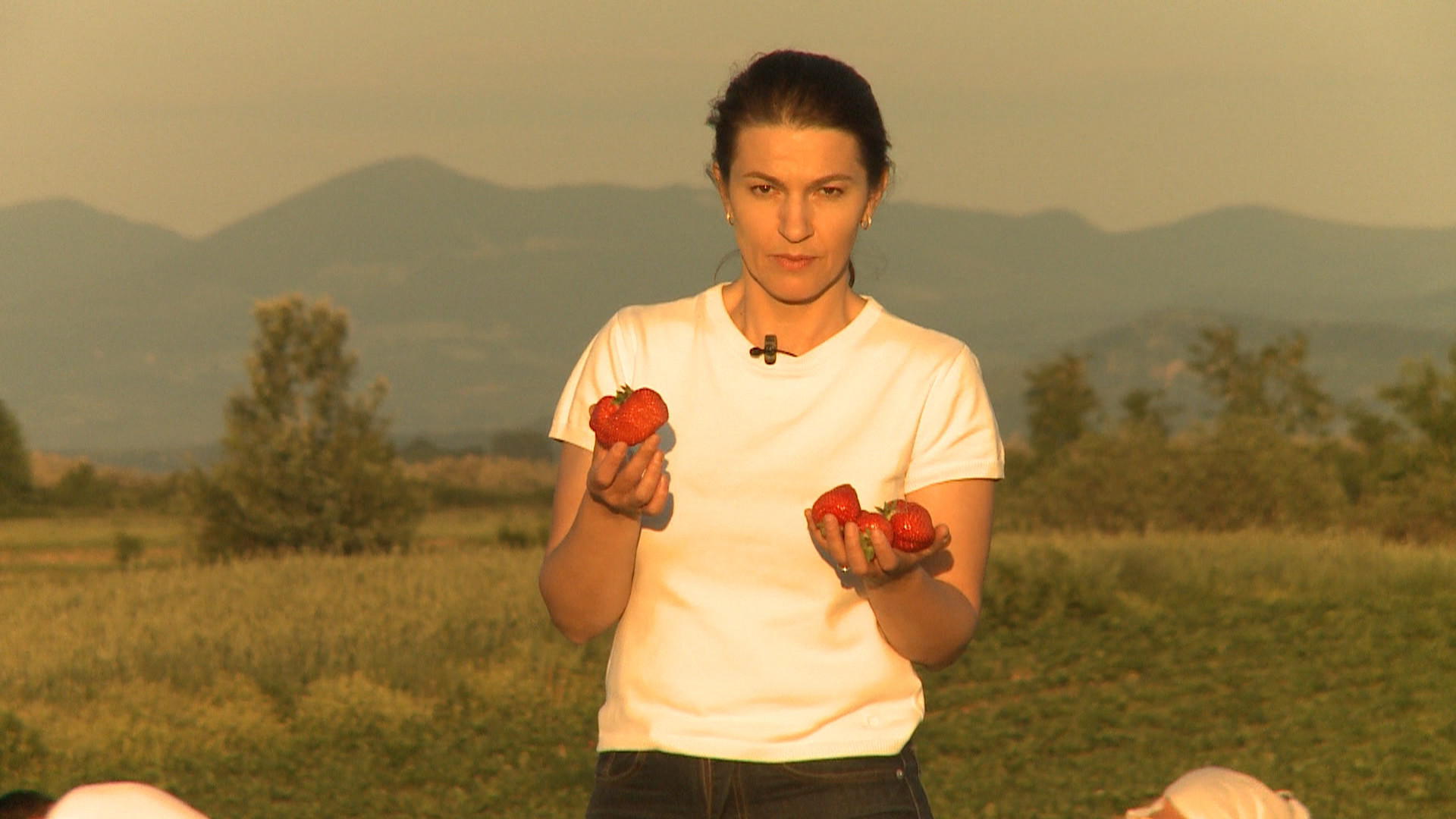 Invazia soiurilor straine a ajuns in livezile Romaniei. De ce fructele din piata nu mai au gustul "de pe vremea bunicii"