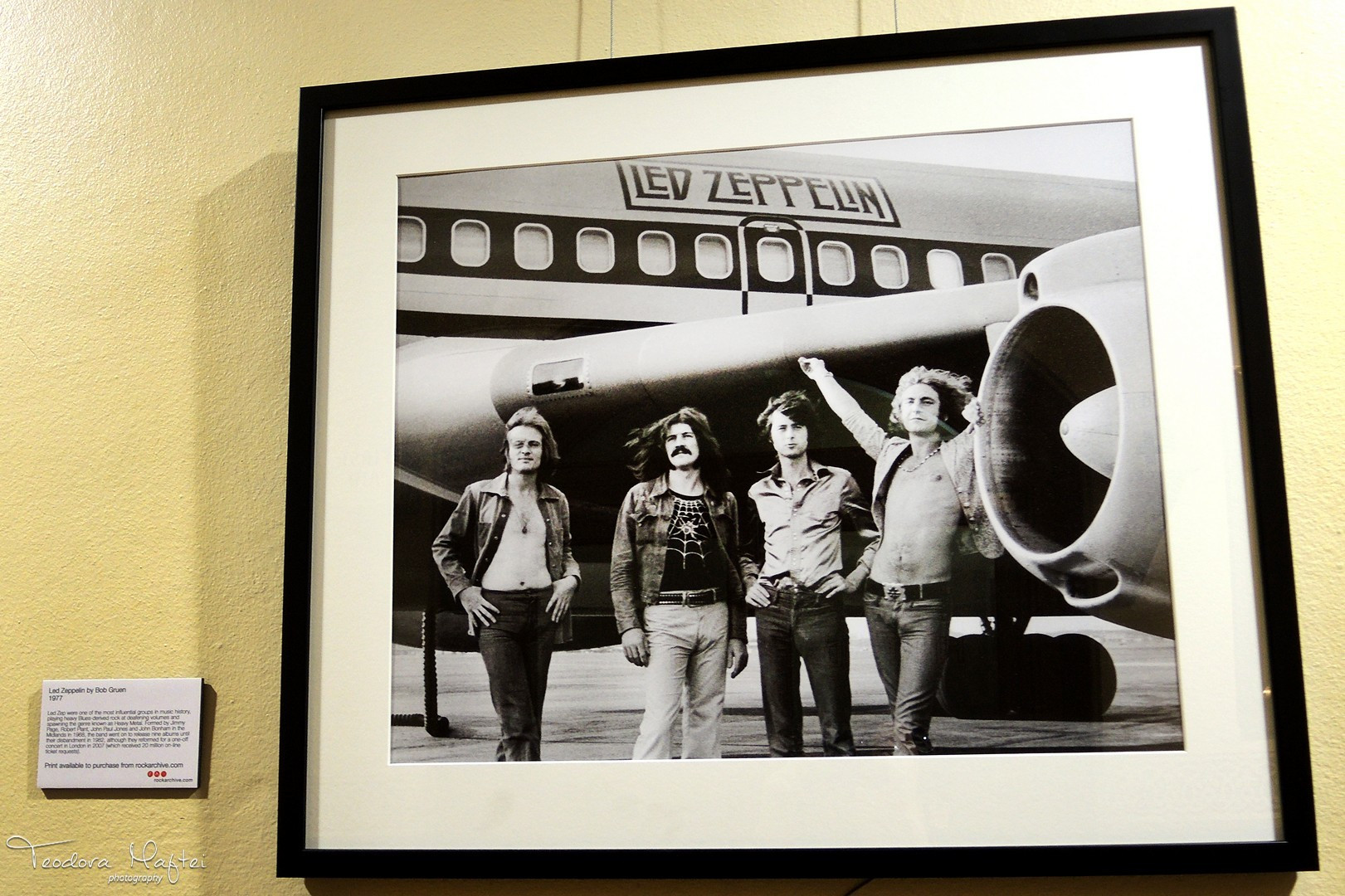 50 de ani de rock britanic la Royal Albert Hall - 8