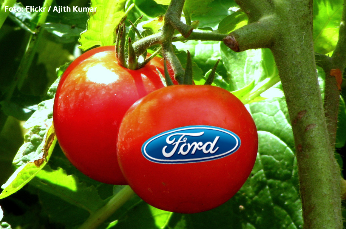 Automobile de Masterchef. Ford va folosi rosii si nuci de cocos ca sa fabrice masini