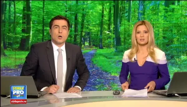 Cum puteti testa ciupercile bune de cele otravitoare. Specialistii recomanda cumpararea lor doar din anumite piete