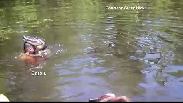 crocodil