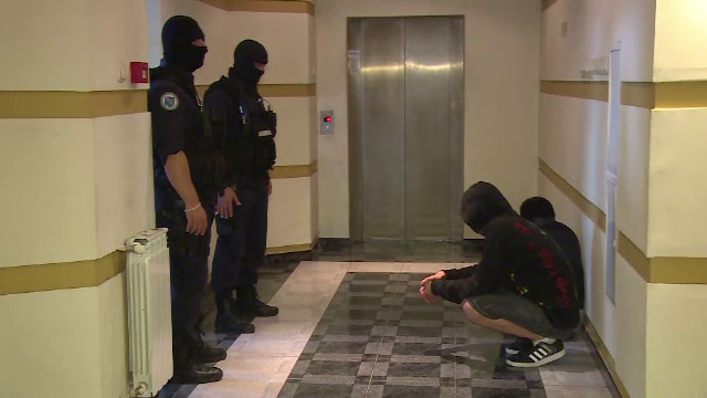 Ce au gasit politistii in caminele studentesti din Romania. "Culturi cu sisteme de iluminare, incalzire si ventilatie"