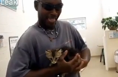 Un barbat din Statele Unite si-a taiat masina proaspat cumparata pentru a salva o pisicuta. VIDEO