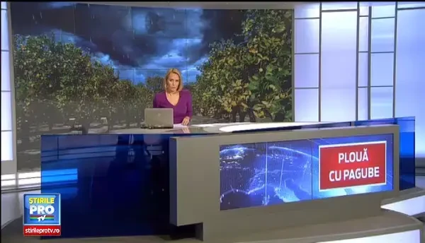 Ploile de vara ne lasa fara legume si fructe. Productia mai e buna doar pentru ghiveci sau gemuri