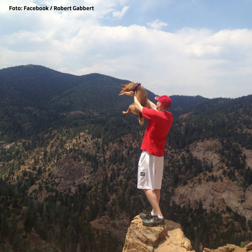 Ce a facut un soldat aflat pe front atunci cand prietena i-a vandut cainele. Povestea sa a emotionat America