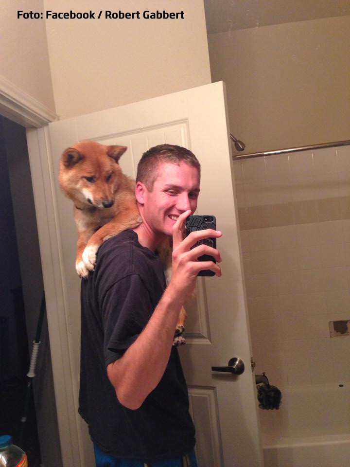 cainele Baxter si soldatul Robert Gabbert