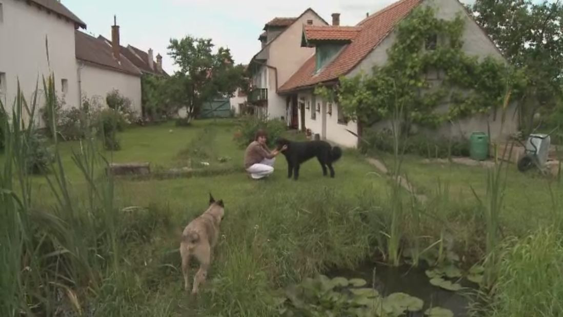 Salveaza Romania frumoasa - 4