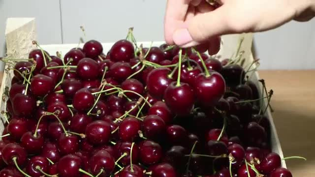 Cireasa cat o pruna, regina la festivalul fructelor de sezon de la Iasi. Un student din Camerun vrea sa le ia cu el acasa