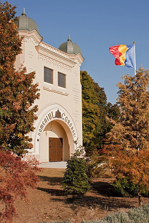 GHIDUL unei vacante printre viile din Romania. De ce cred somelierii ca ne putem compara cu vinurile de Bordeaux. FOTO