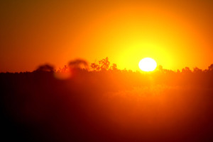 SOLSTITIUL DE VARA 2015 - traditii si obiceiuri. Cea mai lunga zi din an era considerata propice pentru magii