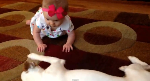 Catelul familiei invata o fetita de cateva luni tainele mersului pe burta. VIDEO viral