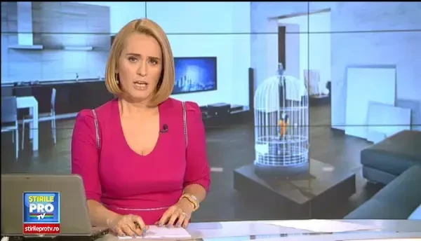 A mers la politie sa reclame ca papagalul cumparat nu ii vorbeste. Cum a ajuns un bucurestean in topul reclamatiilor trasnite