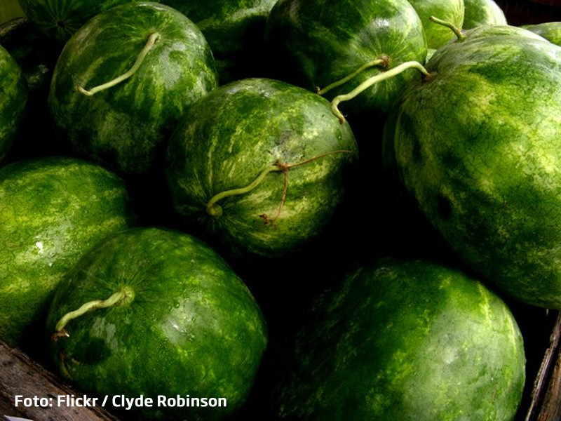 Vamesii americani au oprit un camion plin cu pepeni falsi. Ce se ascundea de fapt in ei