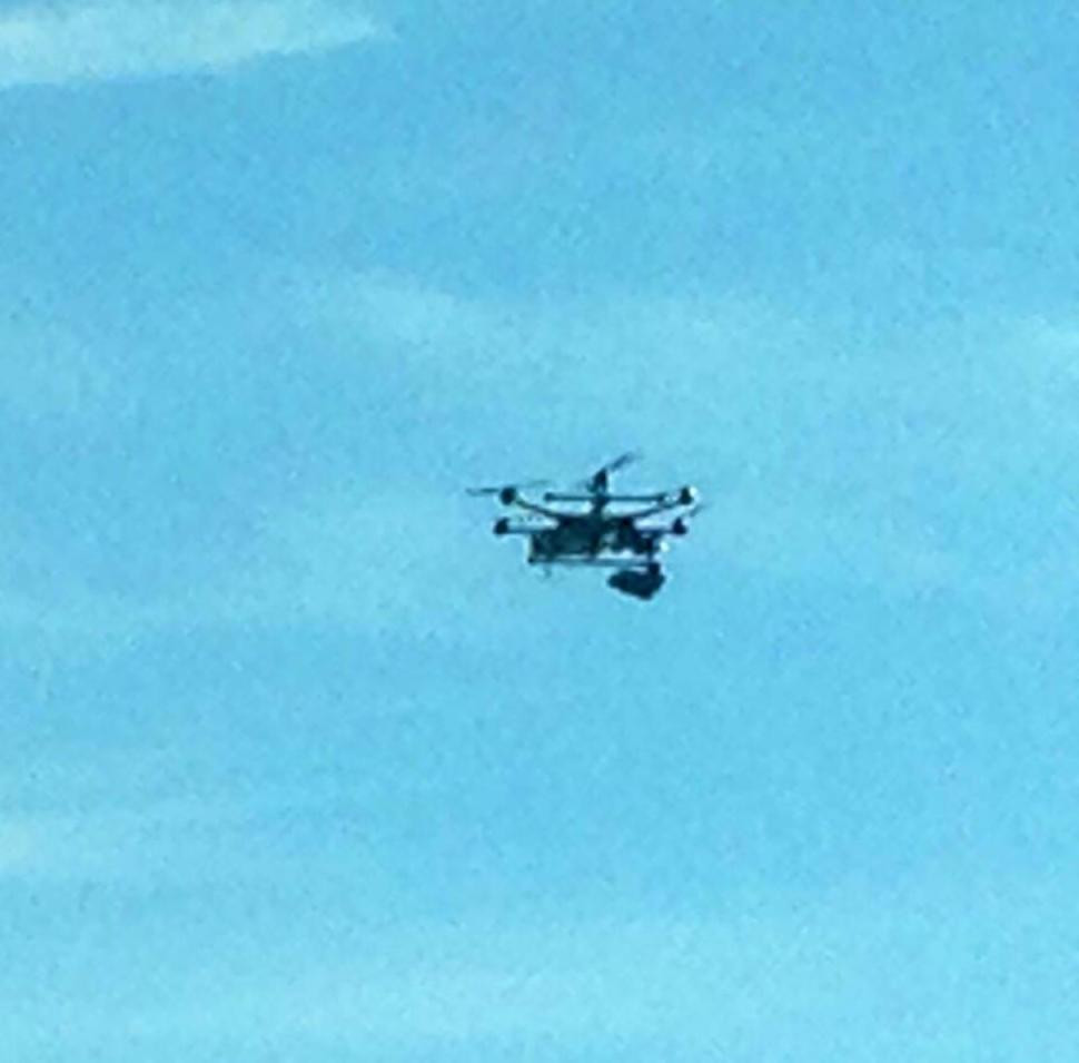 Si-a transformat pisica moarta intr-o drona. Cum a fost posibil asa ceva. FOTO