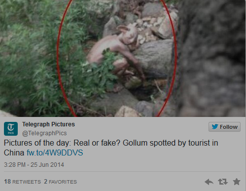 Misterul a fost elucidat. Ce este, de fapt, creatura bizara care seamana cu Gollum, pozata in China