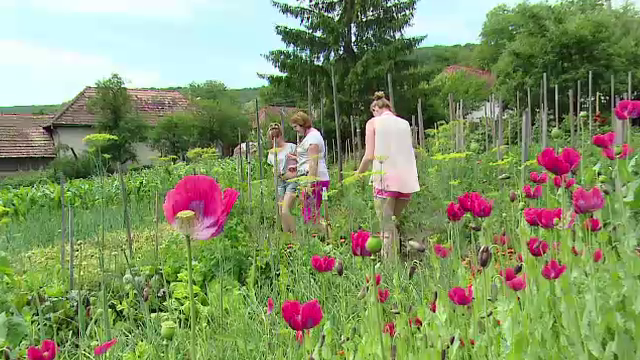 Cateva frantuzoaice au lasat luxul de acasa pentru viata in Ardeal. Ce au spus despre tara noastra