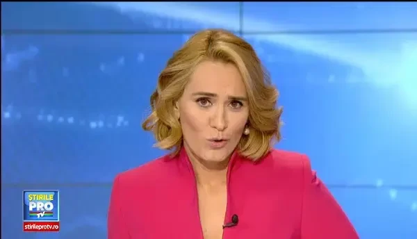 Pui de urs de 4 luni, salvat de medicii veterinari din Covasna. Avea hemoragie interna, dupa ce a fost lovit de o masina