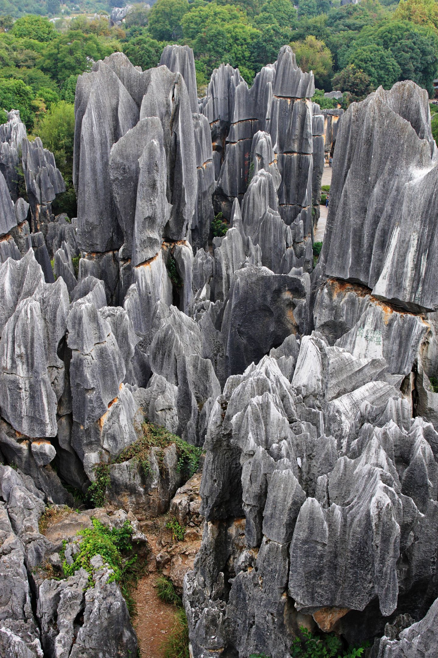 Shilin, padurea de piatra