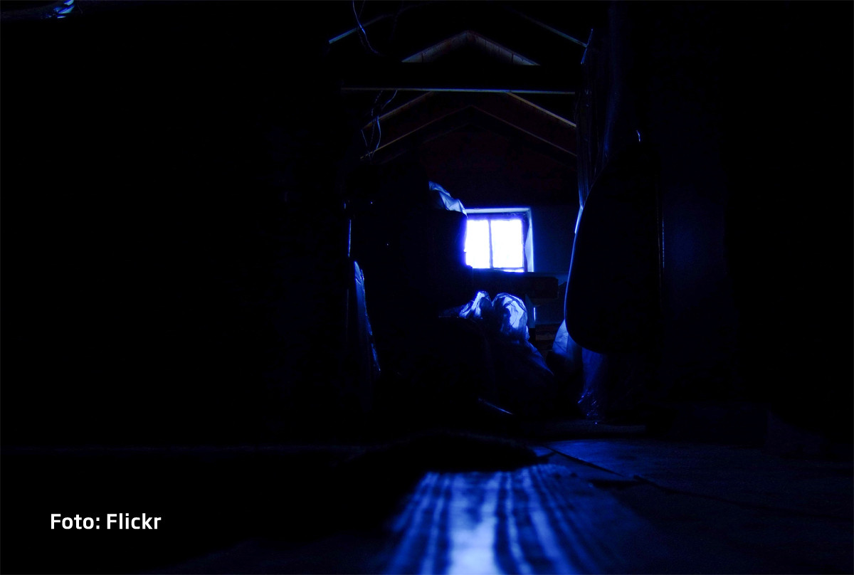 Si-a cumparat o casa si a inceput sa auda zgomote bizare din pod. Ce scriitoare celebra se ascundea acolo