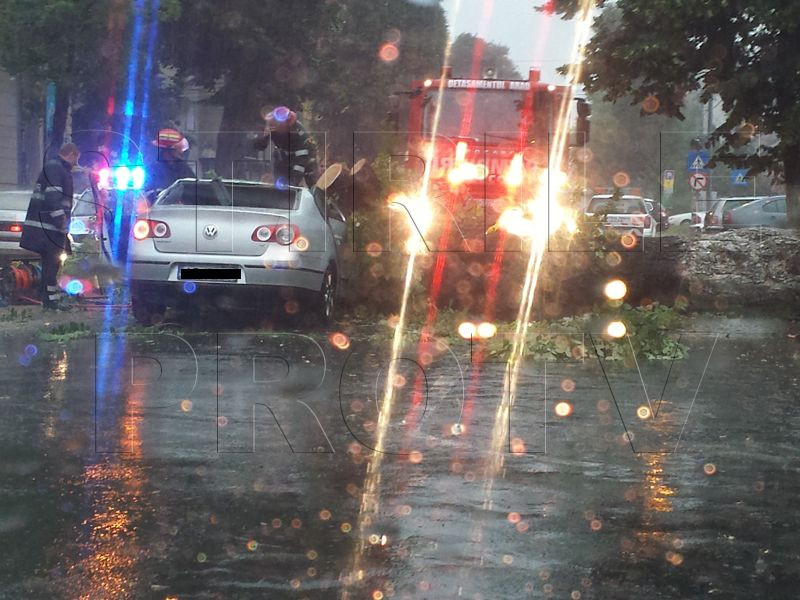 Imaginile tragediei pe care o furtuna a produs-o in Vest. Seful DSVSA Arad a murit dupa ce un copac a cazut peste masina sa