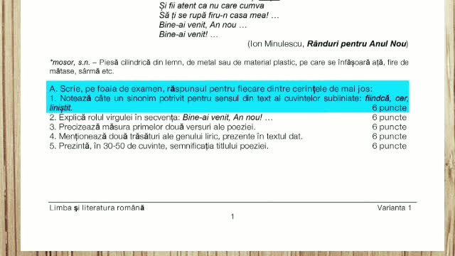 REZULTATE FINALE EVALUARE NATIONALA 2014. Analiza subiectelor si baremului de la romana care au provocat revolta parintilor