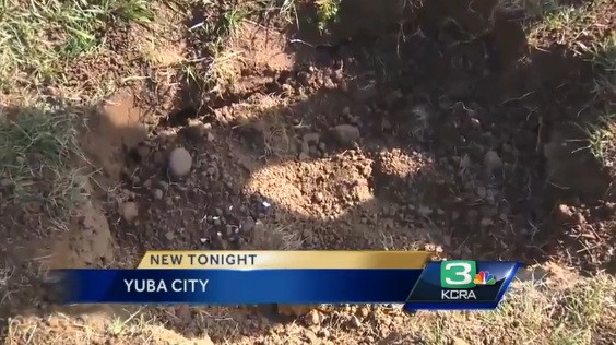 Ramasite umane, un cap de papusa si mai multe macete. Locului unui ritual afro-caraibian gasit in California de un caine