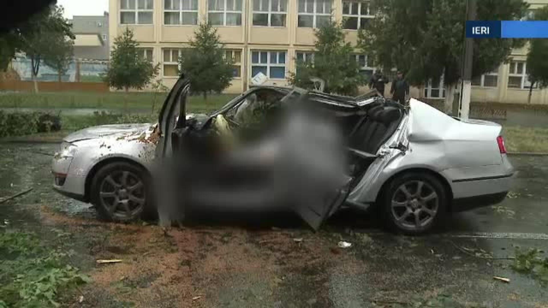 Cine trebuia sa taie de fapt copacul care a ucis un om la Arad. Politistii au deschis o ancheta pentru moarte violenta