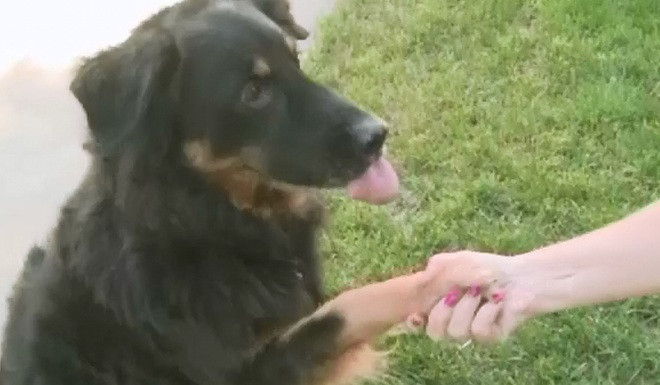 Si-a pierdut verigheta cu diamant in urma cu 5 ani. Unde a gasit pretiosul inel