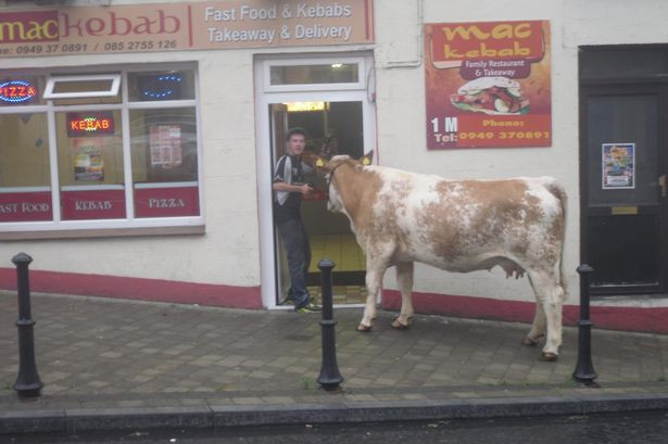 Un barbat din Irlanda a iesit cu vaca in oras. Locul unde si-a dus animalul a starnit hohote de ras pe internet