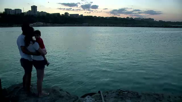 Doi delfini s-au apropiat de tarm, spre incantarea turistilor. Imagini inedite surprinse in Portul Tomis