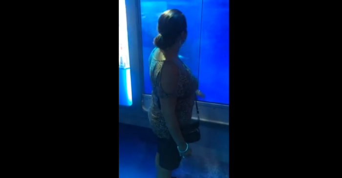 O femeie din Statele Unite a trecut prin sperietura vietii. Intalnirea "de gradul zero" pe care a avut-o cu un rechin. VIDEO