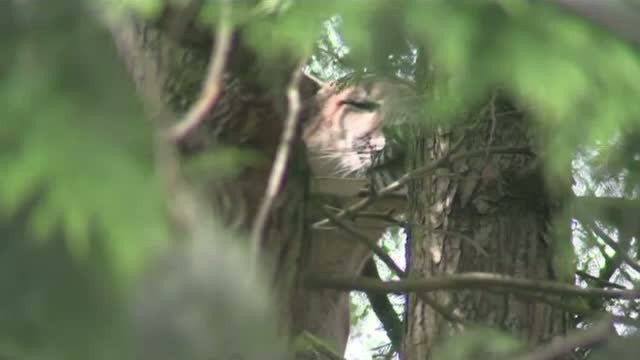 STIRI EXTERNE PE SCURT. Noi acuzatii de spionaj la adresa SUA; Surpriza neplacuta pentru o familie din SUA