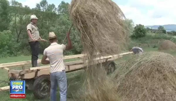 Lectia fermierilor din Bistrita-Nasaud care au atras mai multi bani europeni decat primaria. In ce afaceri au investit