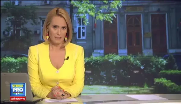 Sechestru pe casa si pe terenurile de la Constanta ale lui Mircea Basescu. Fratele presedintelui a fost adus marti la DNA