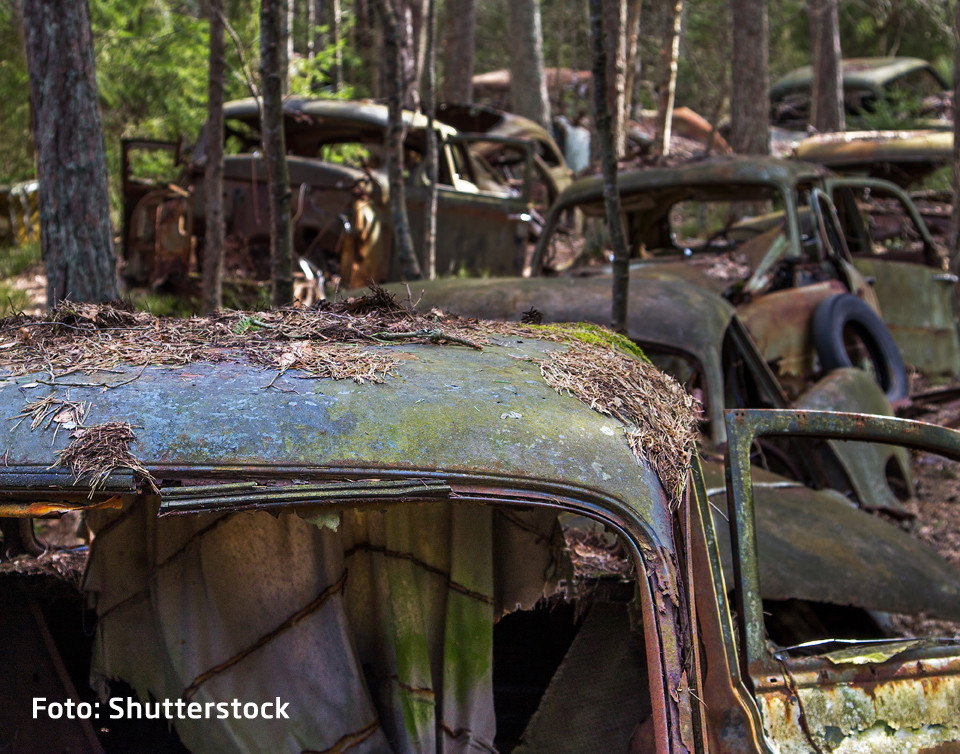 Masinile blocate in trafic de 70 de ani. Care e explicatia pentru imaginile misterioase surprinse intr-o padure din Belgia
