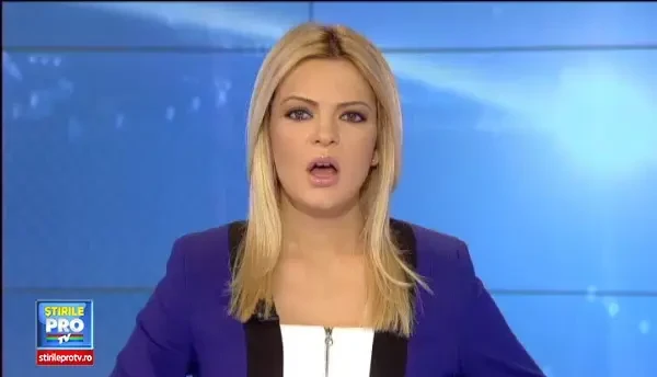 Scandal in Capitala, intre iubitorii de animale si hingherii veniti sa ridice un caine maidanez